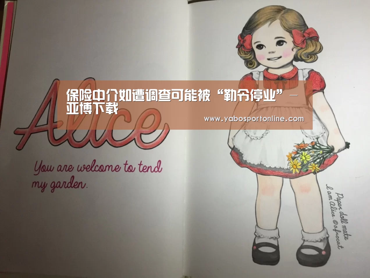 保险中介如遭调查可能被“勒令停业”-亚博